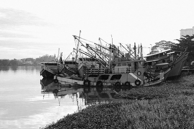 kavling-fujifilm-reborn