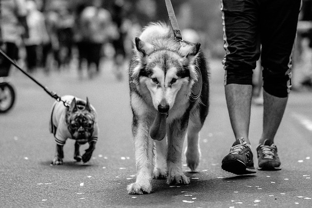 kavling-fujifilm-reborn