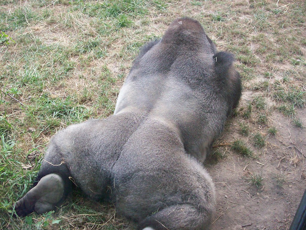 inilah-wanita-wanita-cantik-indonesia-yang-berani-buka-bukaan-di-instagram