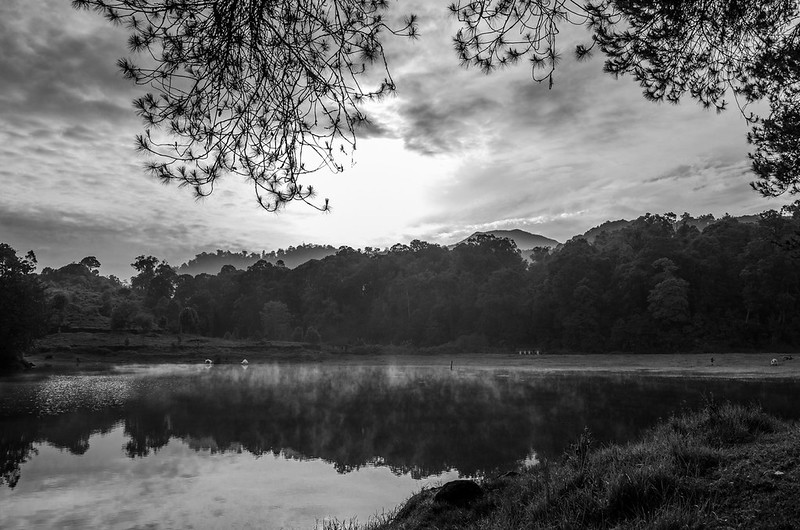 alun-alun-nikonian---part-14