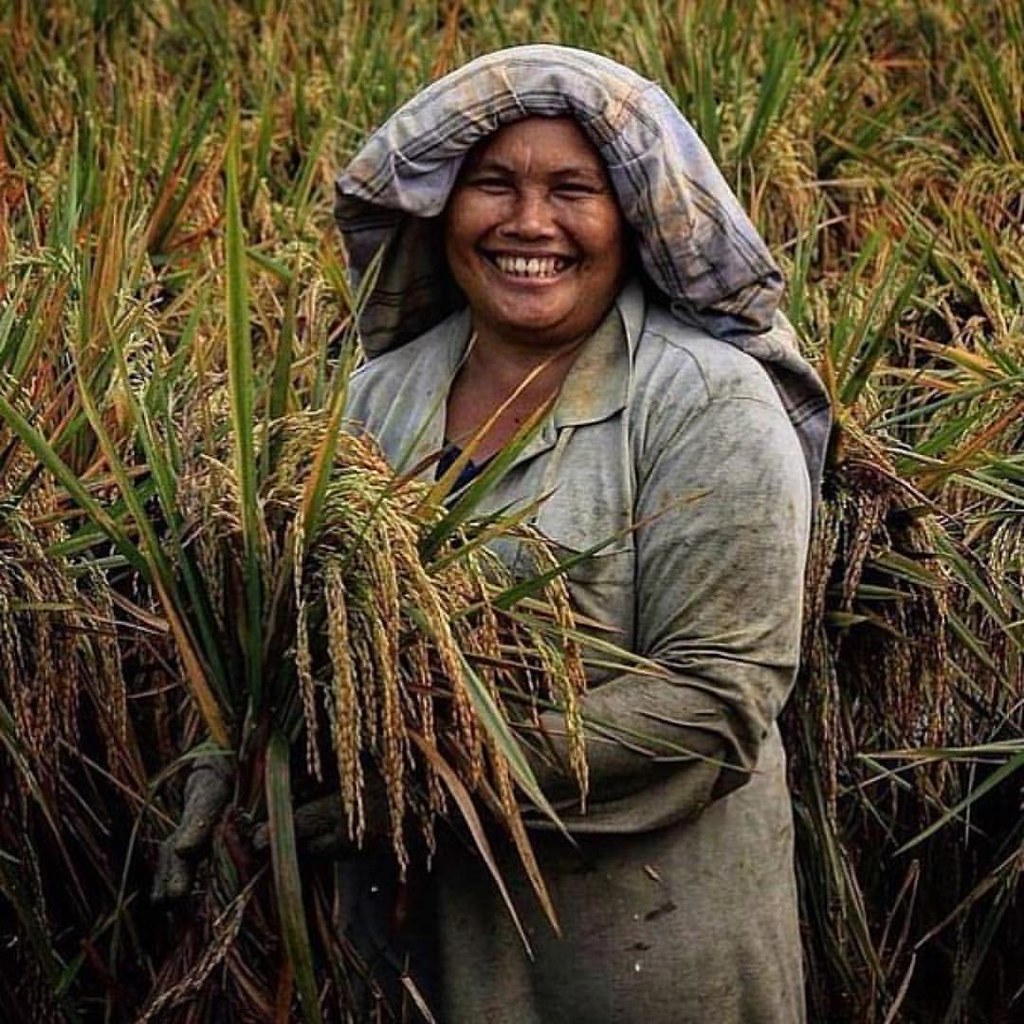 Tanpa Mimpi Manusia Mati, NOT QUOTES Lembu Gantekz