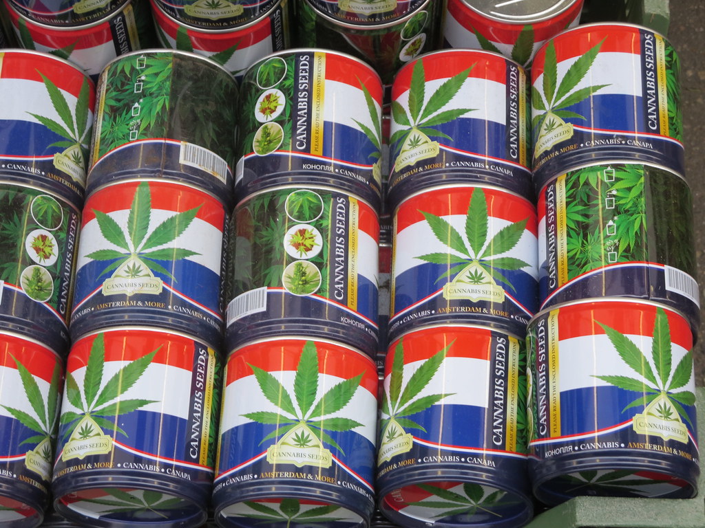 Indahnya Warna-Warni di Pasar Bunga Bloemenmarkt, Amsterdam