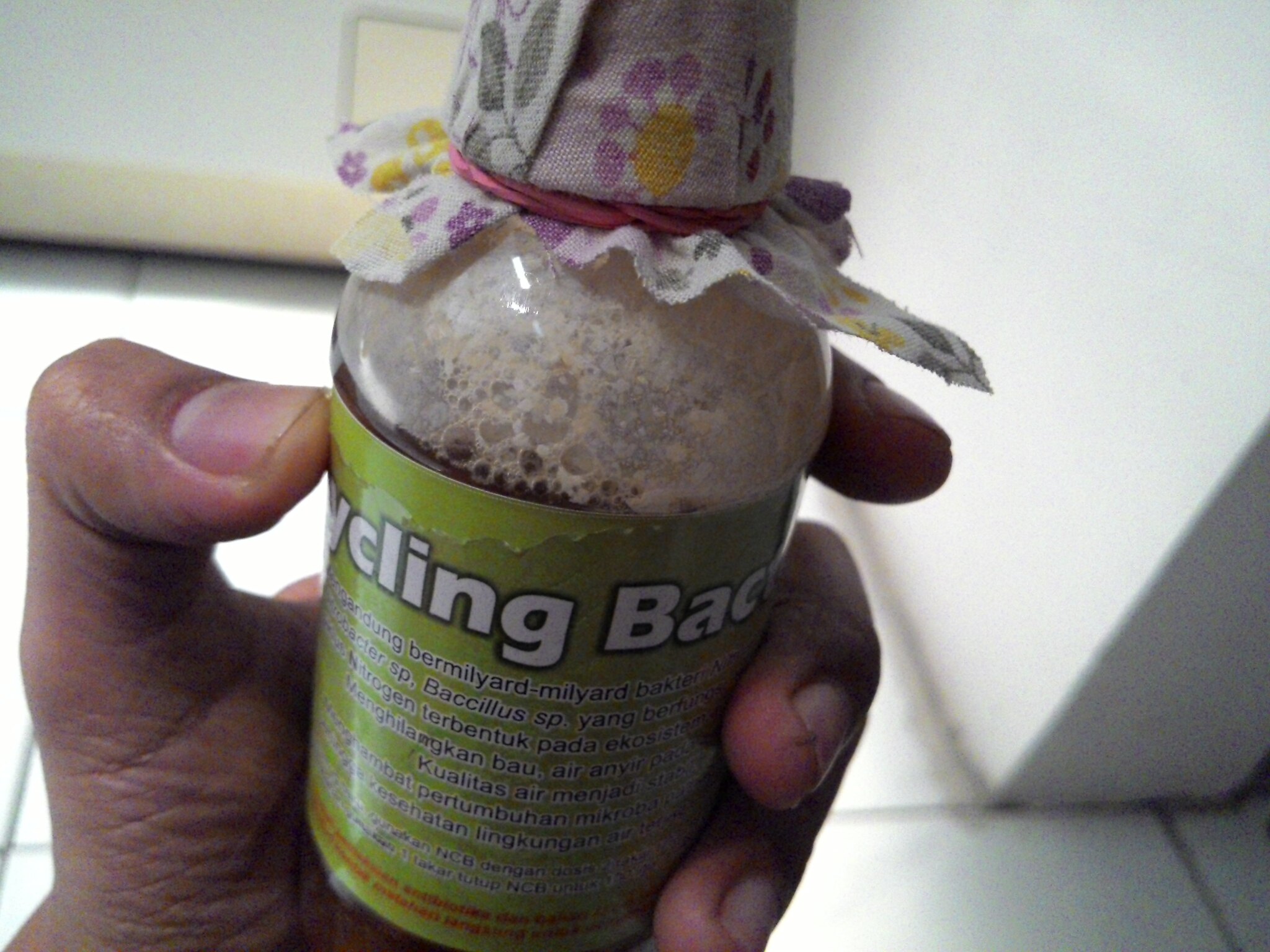 cara-budidaya-ikan-nila-yang-baik