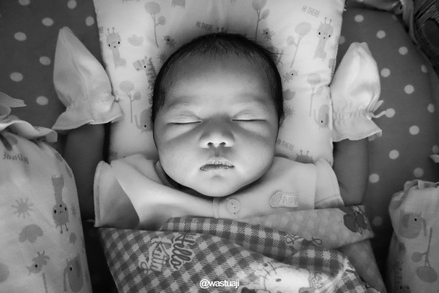 new-pendopo-sony-alpha---part-1