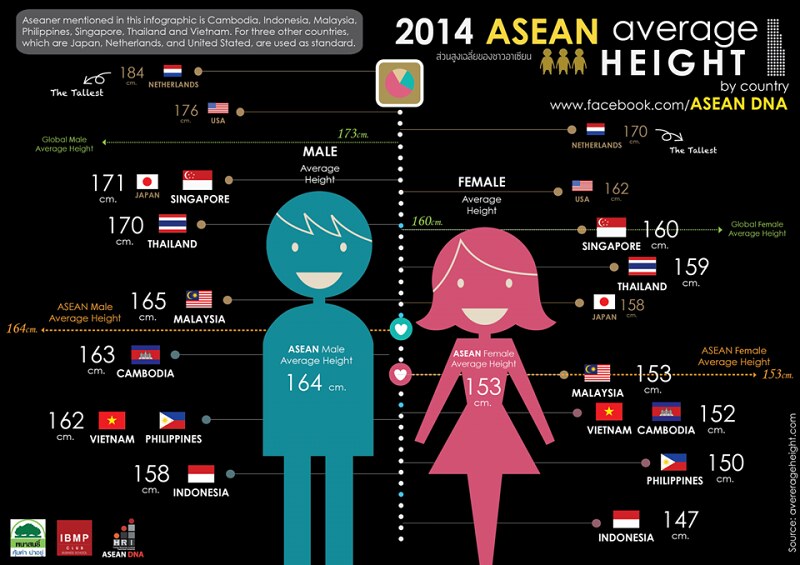 Tinggi Rata - Rata Orang Asia