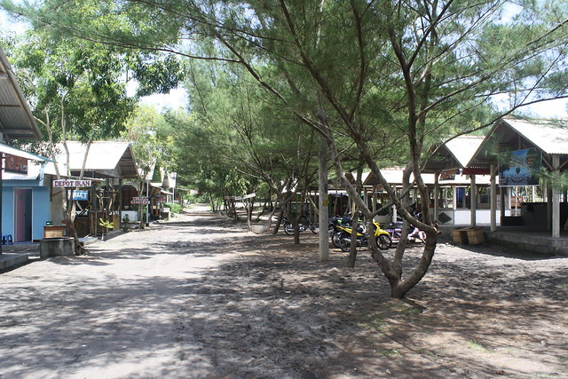 Pantai Baru : Pantai Teduh dengan Pohon-Pohon Cemara