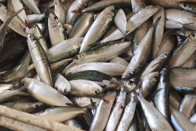 cafe-u--pengguna-panasonic---part-1