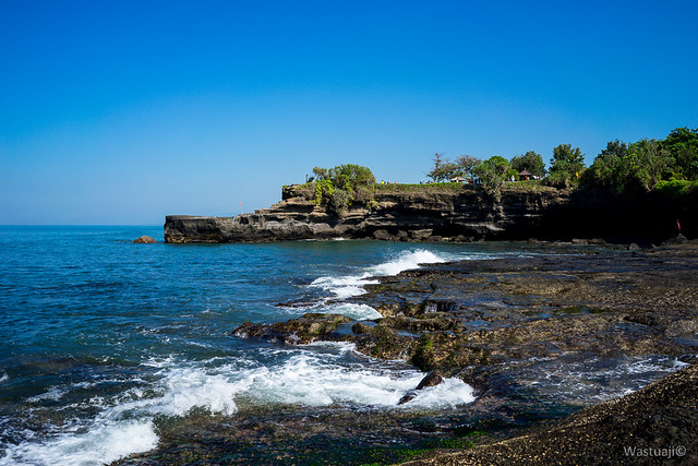 new-pendopo-sony-alpha---part-1