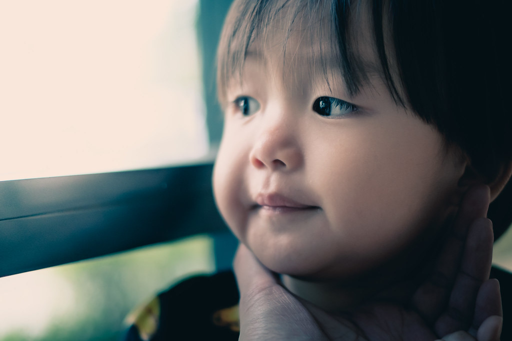 kavling-fujifilm-reborn