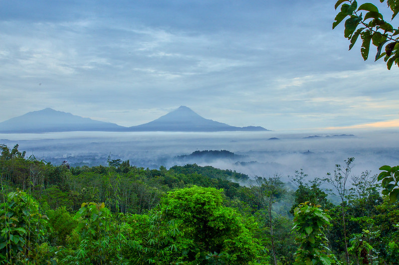 alun-alun-nikonian---part-14