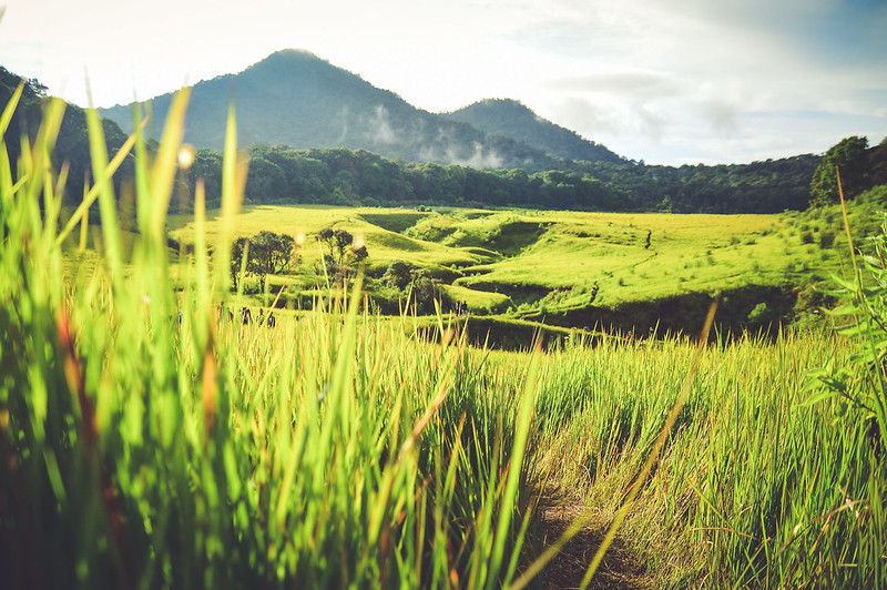 alun-alun-nikonian---part-14