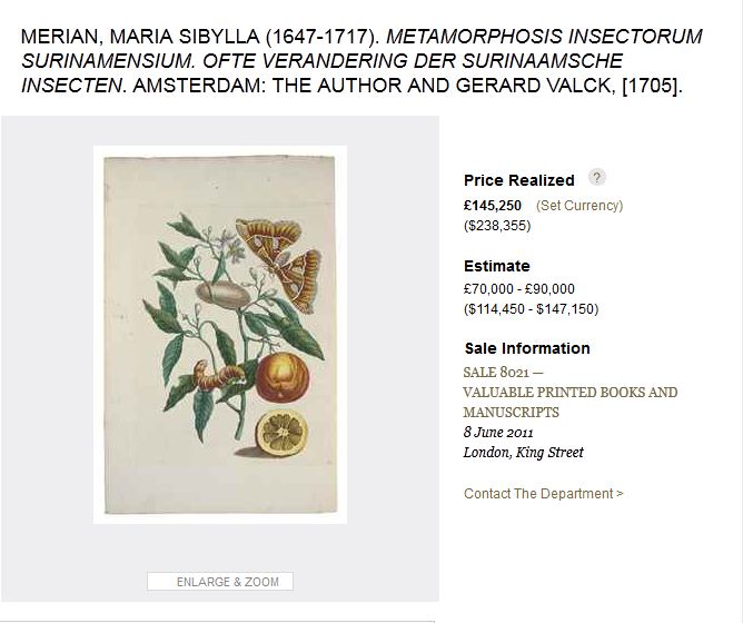 Google 2 April: 366 tahun Maria Sibylle Merian