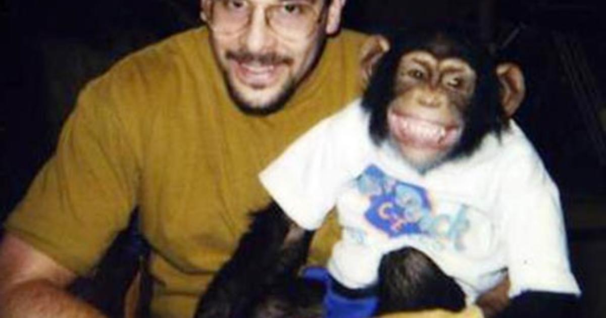 Keluarga Herold dan Tragedi Serangan Ganas Simpanse