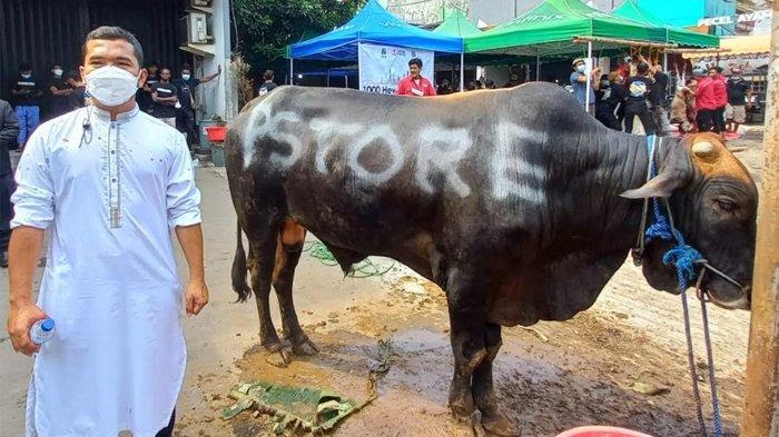 Pecahkan Rekor 1100 Kurban, Putra Siregar: Harapan Saya, Tahun Depan 10 Ribu Ekor