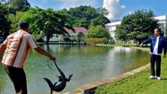 Kronologi Pelepasan Binatang dan Manusia Ke Alam Bebas