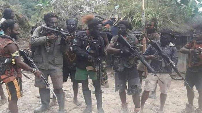 Rebutan Daging Babi, Anggota KKB Papua Saling Bunuh, Satu Orang Tewas