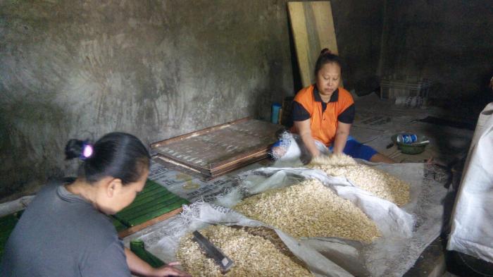 Rupiah Terpuruk, Tempe dan Tahu Terancam