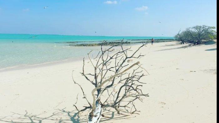 Australia Diminta Hengkang dari Pulau Pasir di Selatan Rote NTT