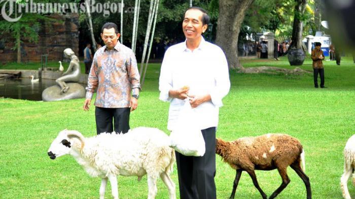 Sri Mulyani: Masyarakat Kurangi Belanja karena Tax Amnesty
