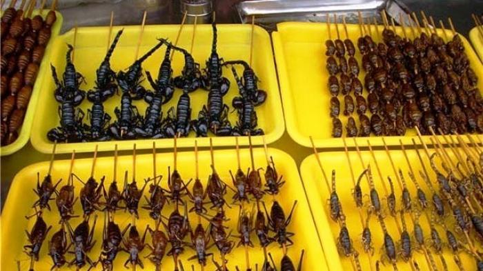 &#91;InfoGratis&#93; Ente Punya NYALI Buat Mencicipi MAKANAN EKSTRIM Ini Gan???