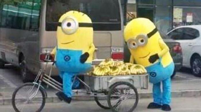 Dua Minions Ditangkap Polisi saat Jualan Pisang