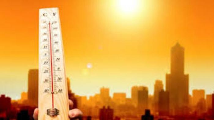 Hati-Hati Suhu Jakarta Bisa 40 Derajat Celcius!