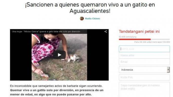 Kejam ! Perempuan Ini Bakar Kucing Hidup-hidup