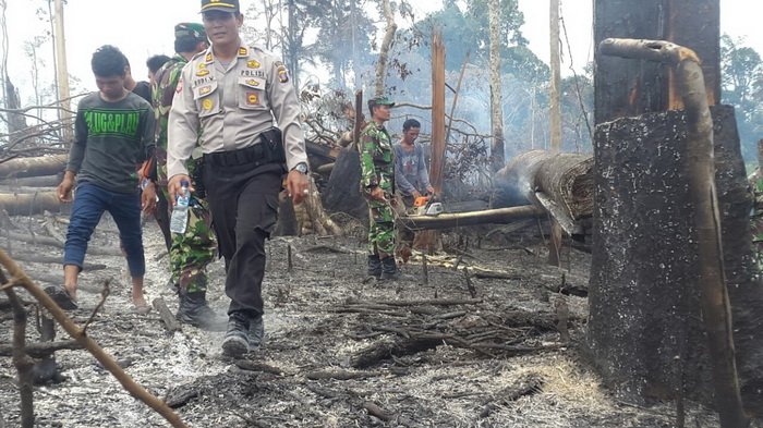 &#91;Coc Reg. KalTim&#93; Penyebab Kebakaran Hutan KalTim, Faktor Alam atau Ulah Manusia?