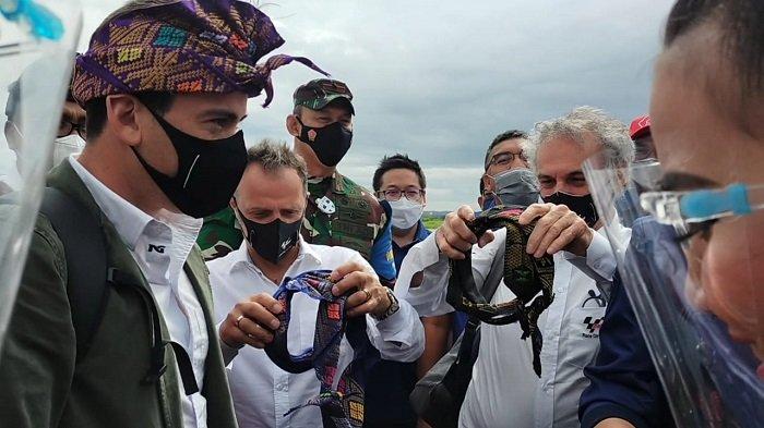 Pemilik Lahan di Sirkuit MotoGP Mandalika Terima Rp 85 Miliar, Kemenkumham Mengawasi