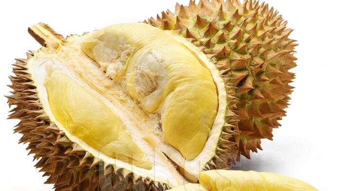 Tokoh Kampung Pulo Sebut Ahok Mirip Durian: Luarnya Kasar, Dalamnya Enak