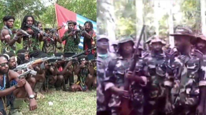 KKB Papua Dapat Bantuan Lawan Indonesia, Relawan dari Negara Tetangga Siap Perang