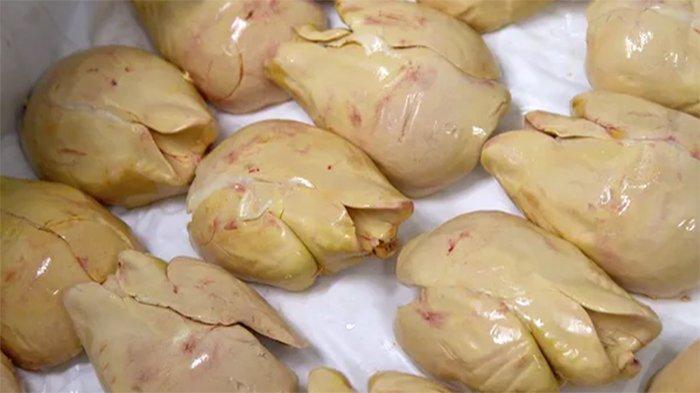 Proses Kejam di Balik Mahalnya Foie Gras, Disebut-sebut Makanan Termewah di Dunia