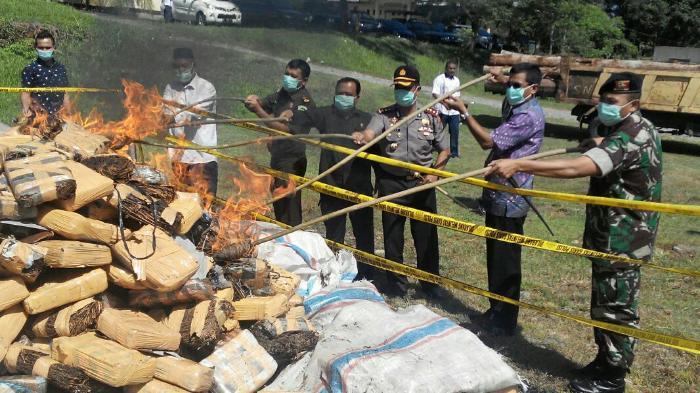 (Subhanallah) 2,8 Ton Ganja di Aceh Besar Dimusnahkan