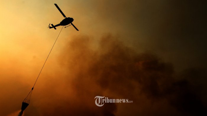 Kebakaran Hutan dan Lahan di Riau Belum Padam