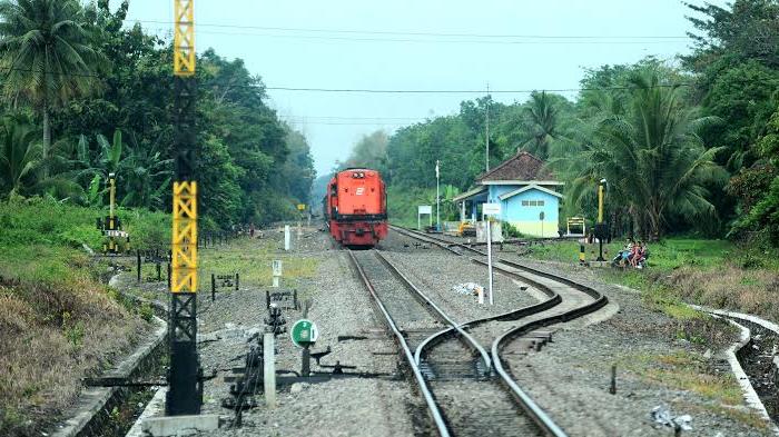 Rusia Akan Bangun Rel Kereta Sejauh 196 Km di Kalimatan Timur