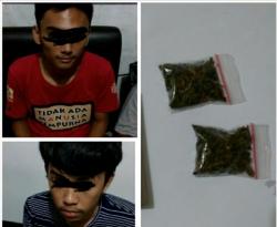 dua-mahasiswa-universitas-muslim-indonesia-bawa-ganja-diringkus