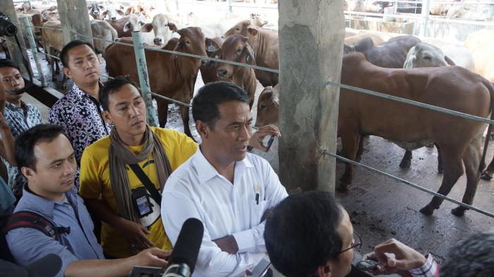 mentan-harga-daging-disepakati-rp-38-ribu-per-kilogram