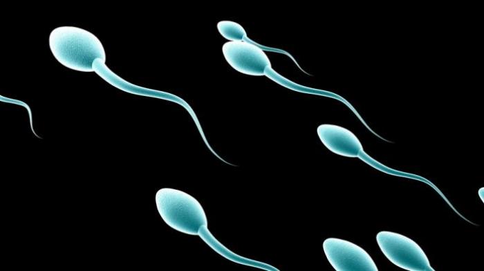 &#91;JAMIN TAKJUB&#93; Inilah Fakta Mencengangkan Tentang Sperma