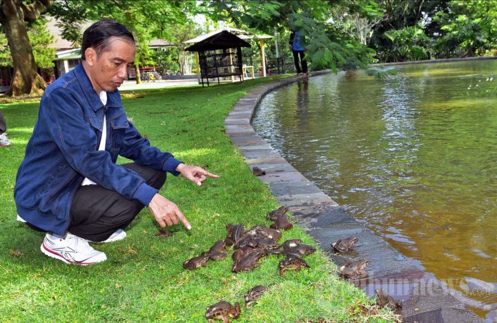 Kronologi Pelepasan Binatang dan Manusia Ke Alam Bebas