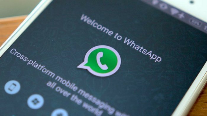 Tutorial Sembunyikan Status Online atau Last Seen di WhatsApp