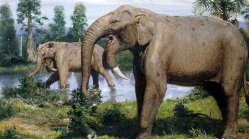 Megafauna, Hewan Raksasa dari Zaman Purba (Asian Edition)