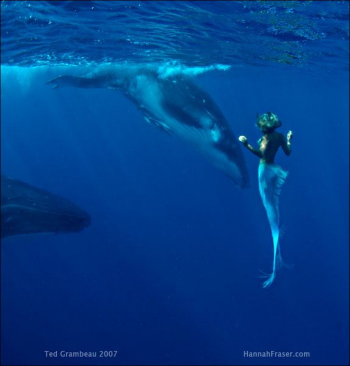 Mari Kita Intip Karya Underwater Hannah Fraser Menakjubkan Yuk