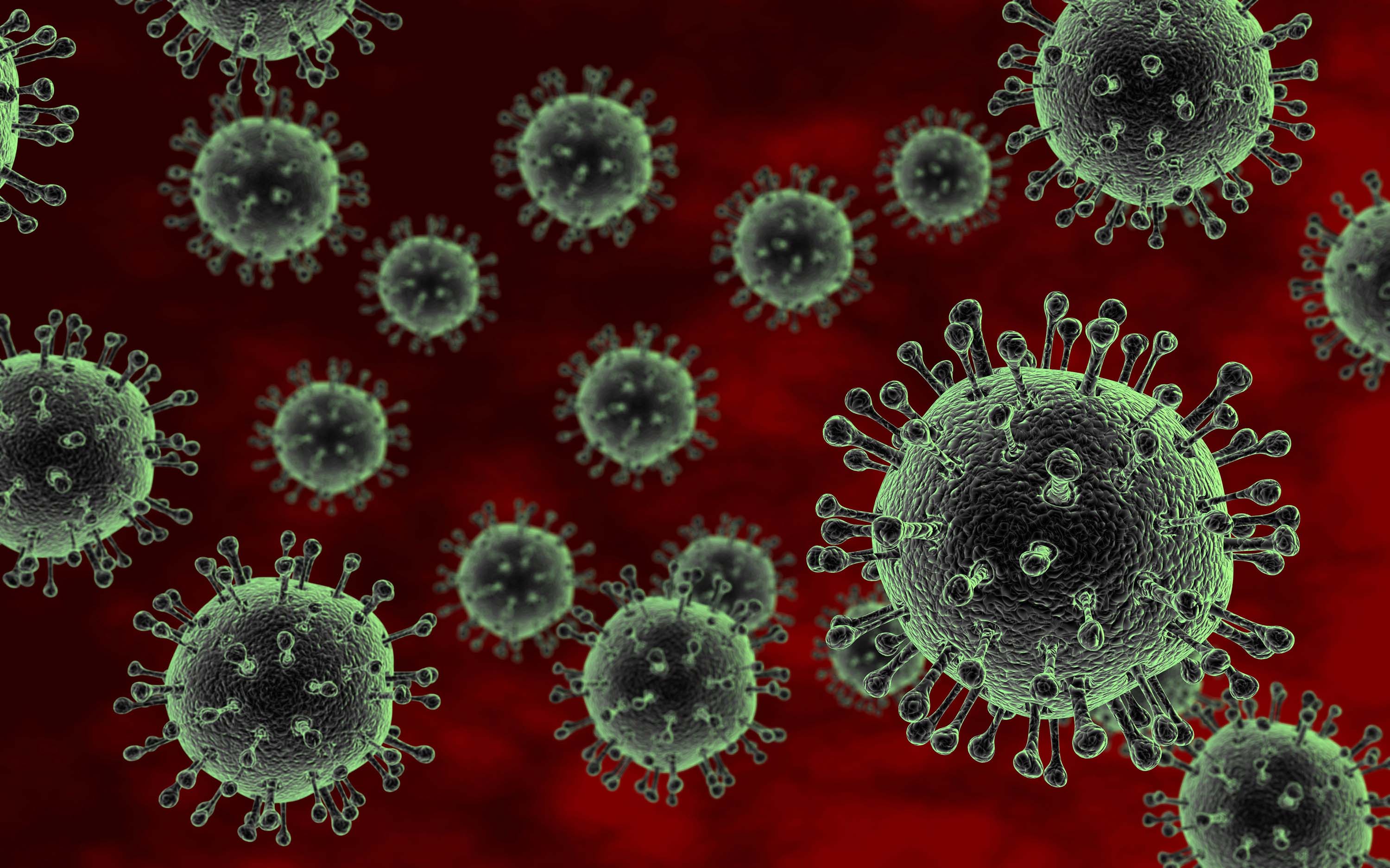  Apa  Saja  Virus Yang  Membahayakan Manusia dan  Hewan  KASKUS