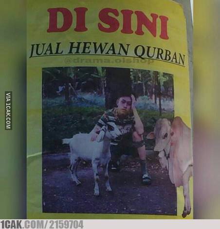 Cara pemasaran ini antimainstream, bikin kamu nggak bisa berhenti ketawa