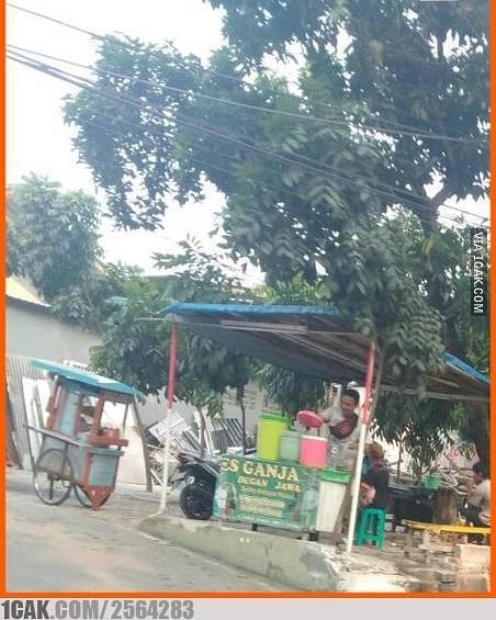 Tulisan lucu gerobak pedagang es, absurd bikin mikir keras