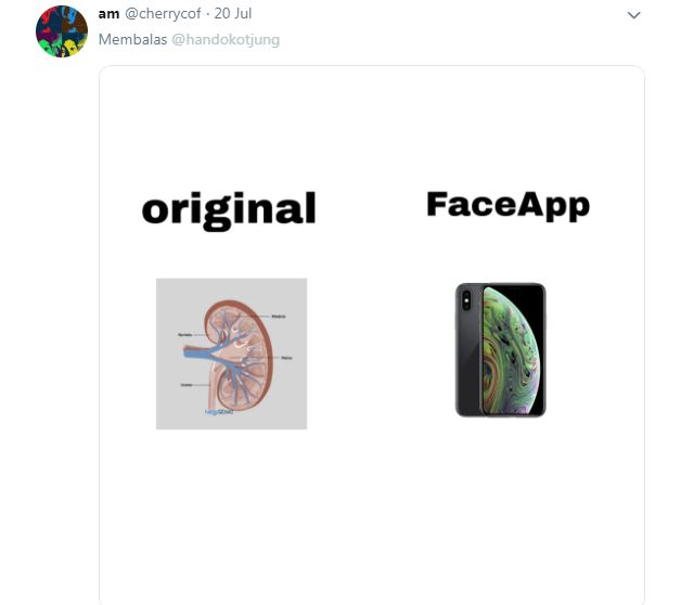 Meme lucu transformasi Age Challenge versi nitezen indonesia ini bikin senyum sendiri