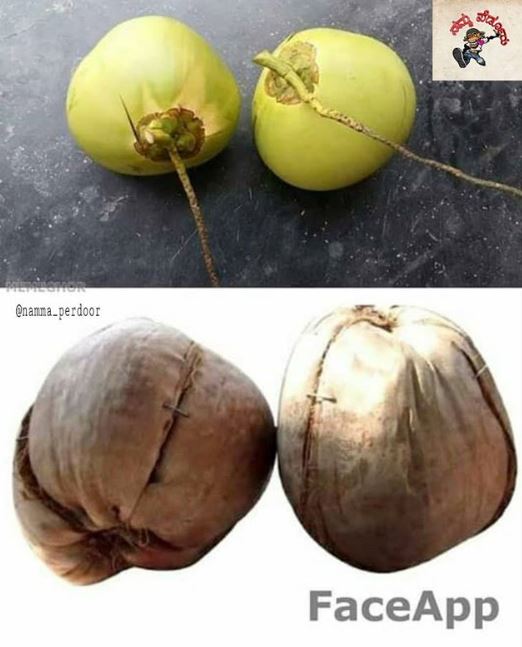 Meme lucu transformasi Age Challenge versi nitezen indonesia ini bikin senyum sendiri