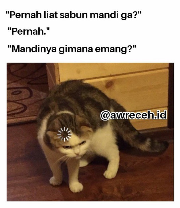 Meme lucu pertanyaan sulit ini bikin gagal paham