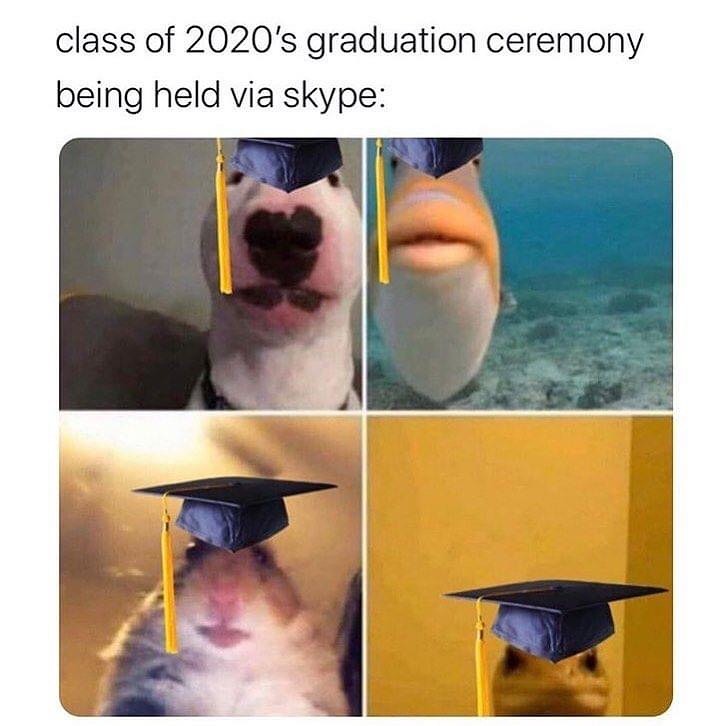 10 Meme Wisuda Lockdown Ini Bikin Miris