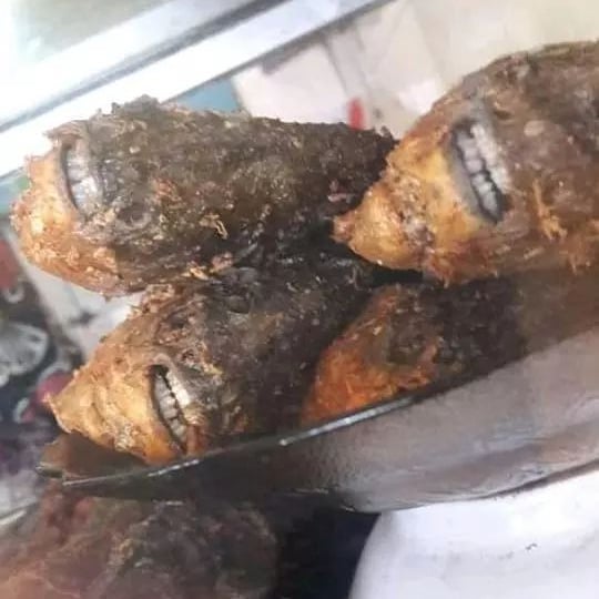 Kumpulan Potret Benda-benda yang Keliatan Serem